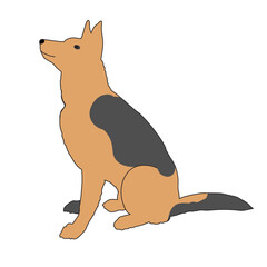 German Shepherd dog isolated vector illustration.