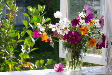 Bouquet of cosmos flowers on window sill
