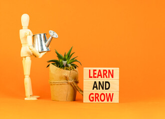 Learn and grow symbol. Concept word Learn And Grow on beautiful wooden block. Businessman model. Beautiful orange table orange background. Business, education learn and grow concept. Copy space.