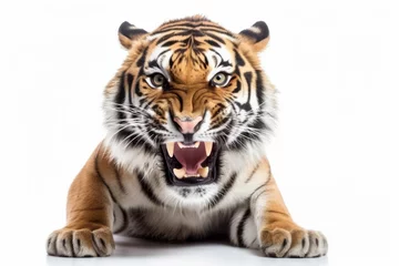 Zelfklevend Fotobehang Dangerous aggressive tiger on a white background. © Iryna