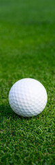 Closeup of white golf ball on a putting green
