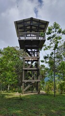 Observation tower in the middle of the forest