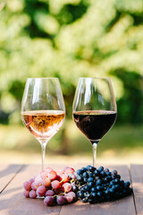 Glasses of pink and red wine on an wooden plate in the vineyard