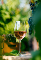 glass with red wine on a wooden barrel in the vineyard.