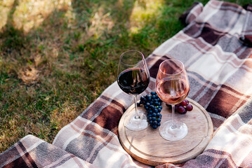 Two glasses of wine, picnic theme