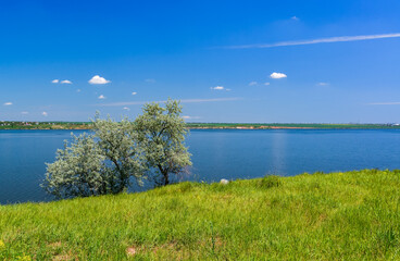 Natural spring landscape of green steppe on the shore of the Khadzhibey estuary, southern Ukraine