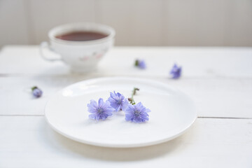 Cichorium flowers in a saucer, on a light background. Flowers of ordinary chicory or cichorium dioecious. With space to copy. High quality photo