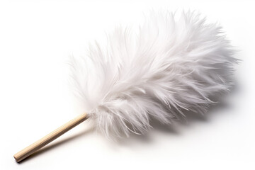 A monochromatic feather duster isolated on a white gradient background 