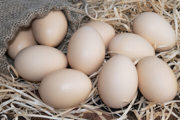 Eggs for Wellness. A Close-Up Perspective. Lots of fresh chicken eggs. Eggs can give we protein 