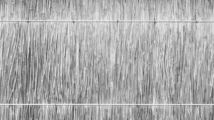 Texture of dry reeds, fence or roof made of reeds. White Straw curtain