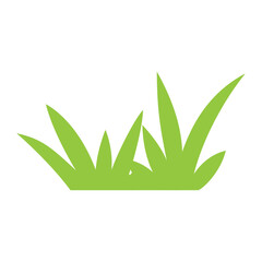 Green grass on white background vector illustration