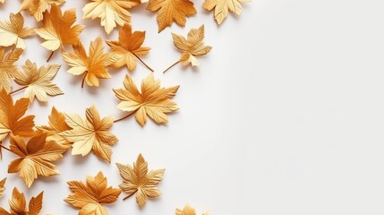 Yellow and golden leaves over white background