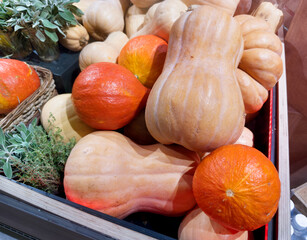 supermarket vegetable counters, various vegetables (pumpkin, zucchini, squash)