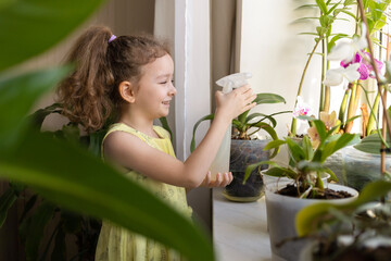 Fototapeta premium girl taking care of flowers, watering home plants, houseplant at windowsill. child cozy home. Kid gardener spraying orchids with water. gardening floriculture. Green environment