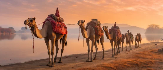 Foto op Plexiglas Indian men on camels in deserts of india © olegganko