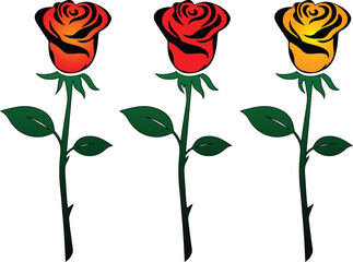 Rose flower vector.Premium Vector design.Group of roses.Vector