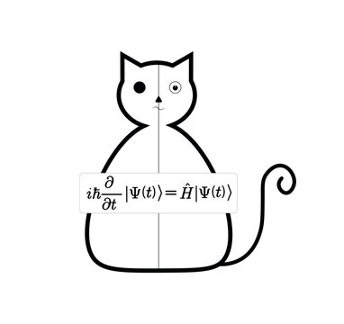 Schrodinger's cat illustration. half dead and half alive cat. Vector illustration.