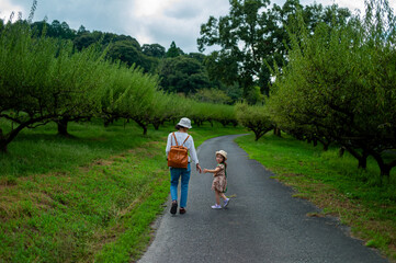 Fototapeta premium mother and daughter walking in the road