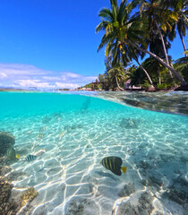 Over-unders | Overwater-underwater | Split-shot | Pacific Ocean and Beach in Bora Bora | French...
