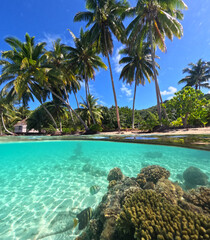 Over-unders | Overwater-underwater | Split-shot | Pacific Ocean and Beach in Bora Bora | French...