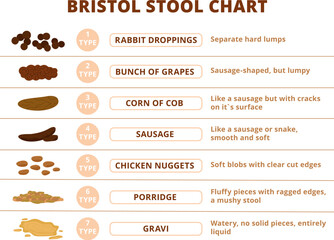 Bristol stool scale, poop types infographic. Digestive problems medical poster, different poops structure. Faeces or excrement decent medicine info banner