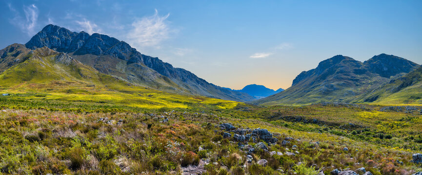 Panorama shot of Kogelberg Nature Reserve valley and Hottentots-Holland Mountain during spring, Western Cape, South Africa