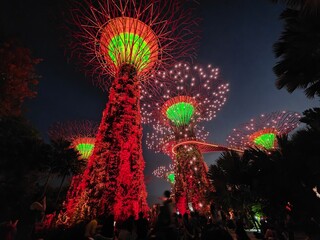 Views of Singapore and Gardens by the Bay