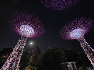 Views of Singapore and Gardens by the Bay
