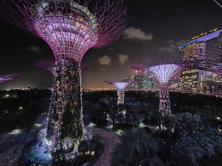 Views of Singapore and Gardens by the Bay - obrazy, fototapety, plakaty