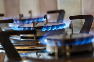 Blue gas flames burning on a gas hob burner, kitchen gas cooker