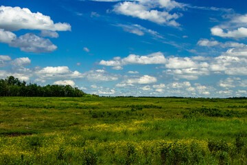 Road side Elk Island National Park Alberta Canada