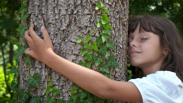Enjoy time by tree bark in wood. A child with love hugs the tree trunk in the summer wood. A concept of no plastic and eco Planet forests.