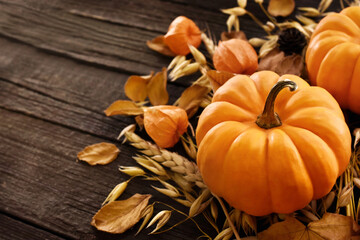 Autumn pumkins and colorful leaves composition, fall leaf frame, Thanksgiving festive background, selective focus