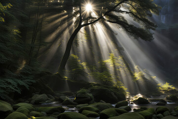 Scenic landscape rays of light in the forest