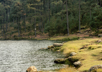 Bosque del estado de México, Desierto de los leones, lago