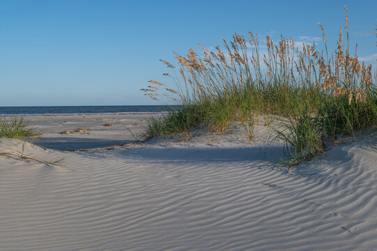 Sand dunes on the beach