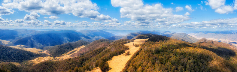 D Pioneer lookout woodshill top pan
