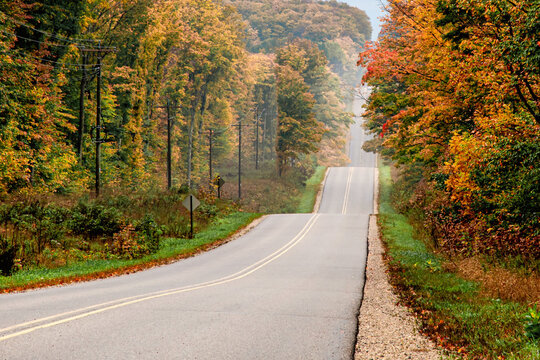 Wavy curvy country roads under autumn scenes