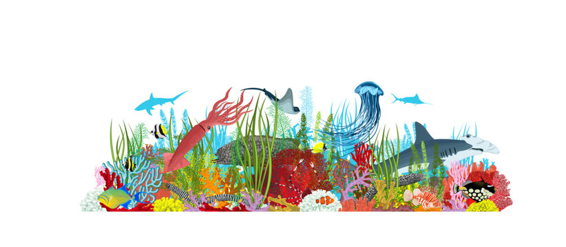 Vector underwater coral reef illustration. Undersea with colorful tropical fishes, squid, hammerhead shark and Jellyfish