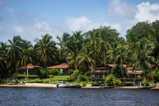 Africa tropical resort with trees ivory coast