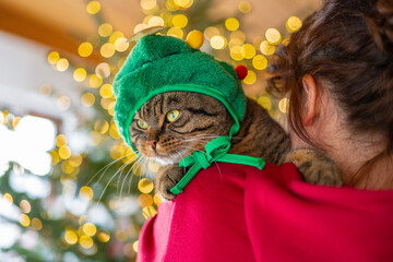 Christmas for pets and people. Cat in a green festive hat in the arms of a girl .Holiday...