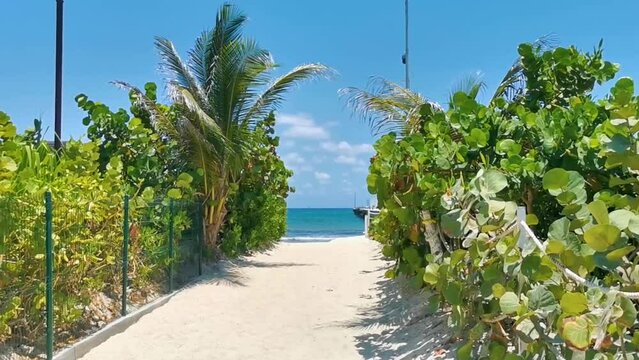 Natural tropical mexican caribbean beach entrance Playa del Carmen Mexico.