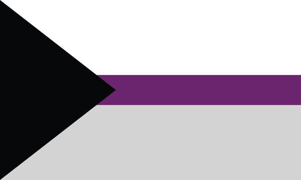 Demisexual Pride Flag. Sexual orientation on the asexual spectrum is defined as someone who does not experience sexual attraction until they have formed a deep emotional connection with someone.