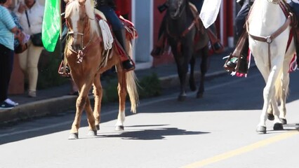 Mexican national guard on horseback, marching during the mexican parade for the mexican independence day