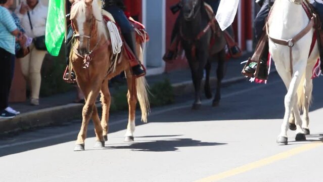Mexican national guard on horseback, marching during the mexican parade for the mexican independence day