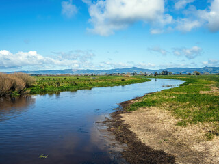 Hauraki Plains, Piako river with lush green grass on the banks in rural areas. Matamata-Piako district, New Zealand