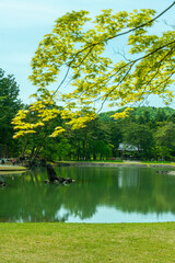 世界遺産　毛越寺（岩手県平泉町）