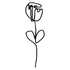 rose one line drawing, simple one line art, flower one line art