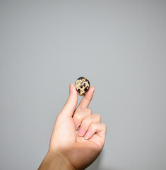 Hand holding quail eggs on grey background