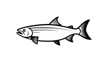 Fototapeta premium fish salmon with good quality and good design